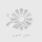 ایده بسپار ایرانیان؛ تأمین‌کننده معتبر مواد اولیه پلیمری در ایران